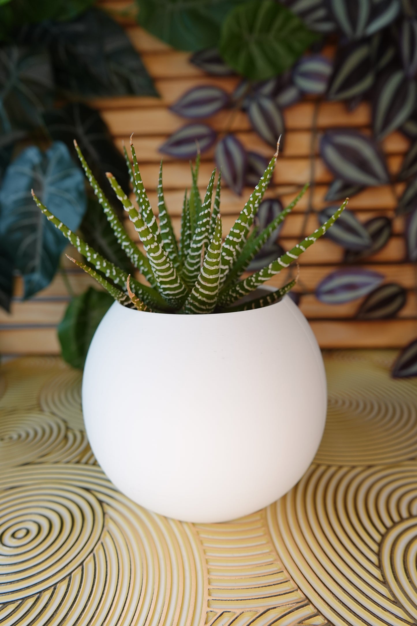 Cozy Curve Planter