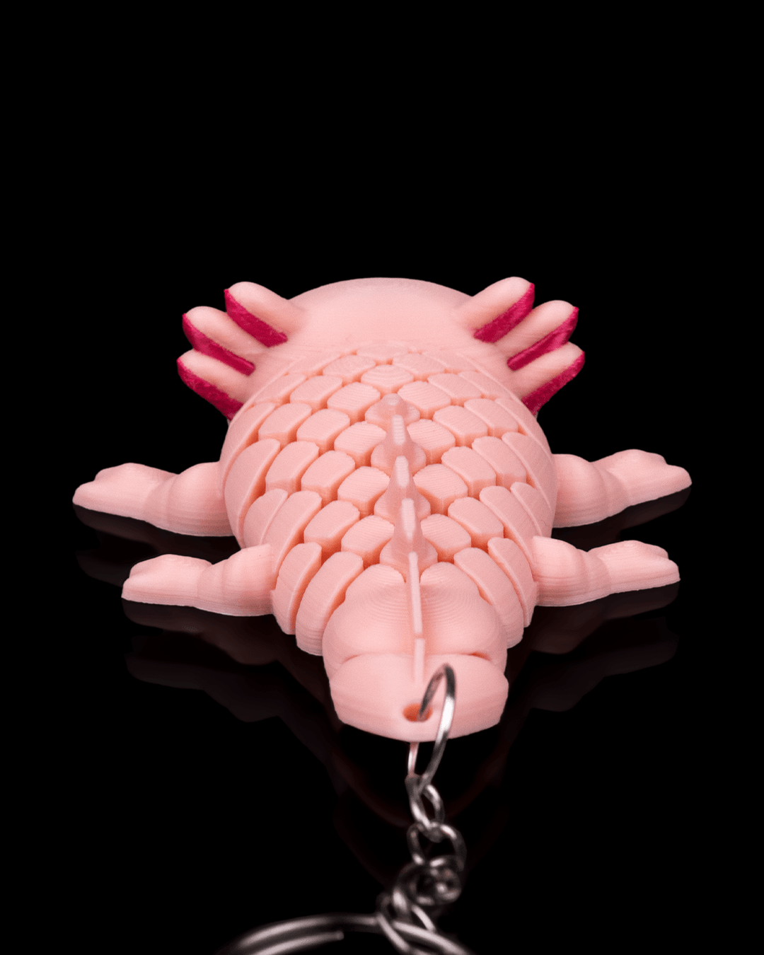 Ashley the Axolotl