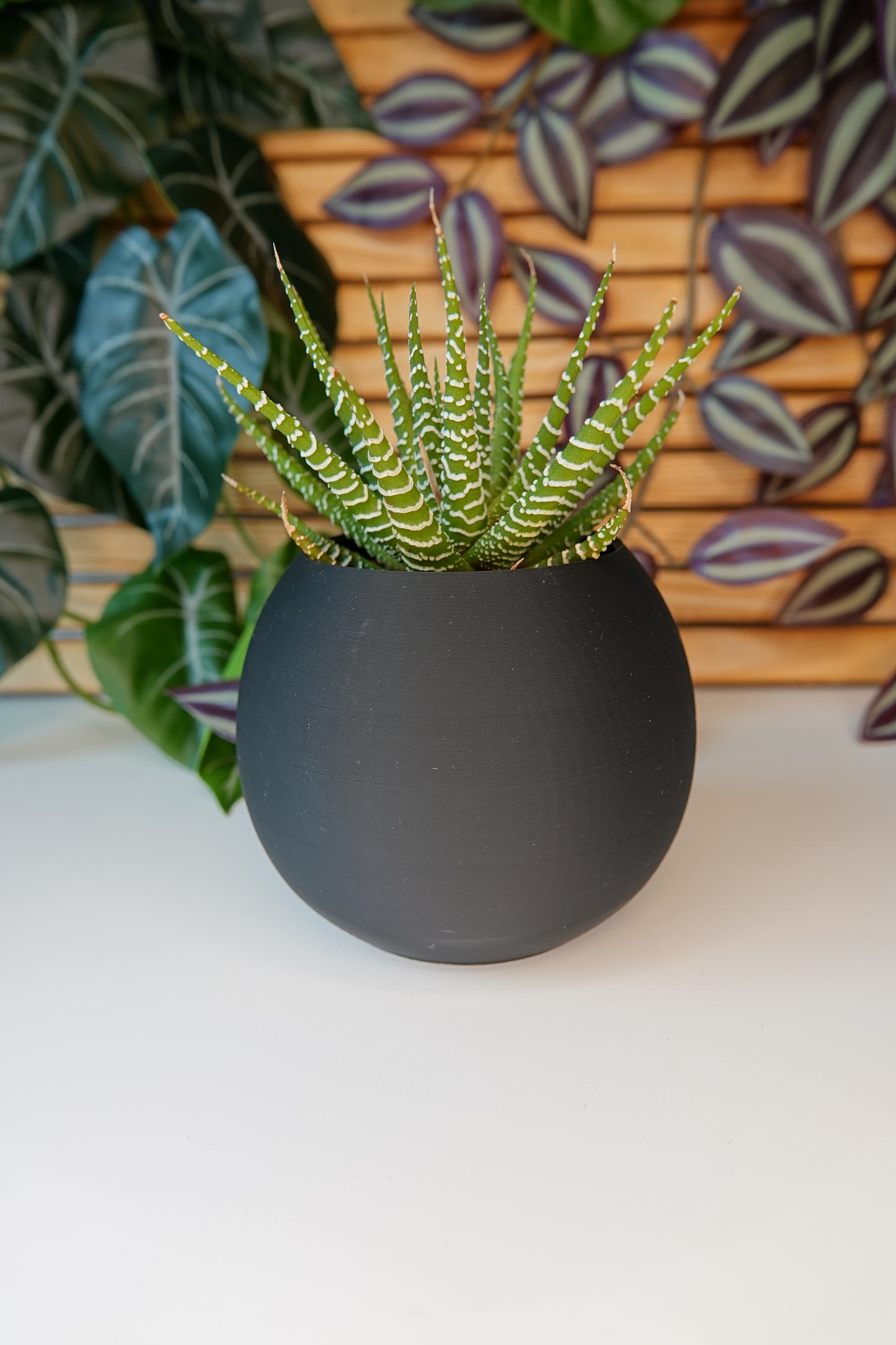 Cozy Curve Planter