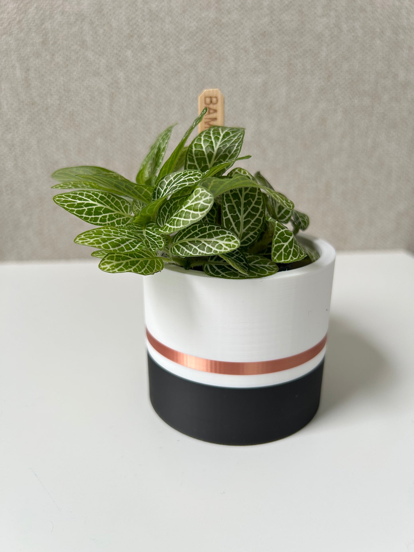 Copper Edge Planter