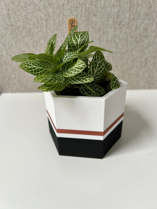 Copper Edge Planter